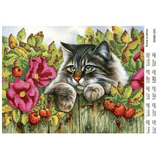 Котик в квітах. Схема для вишивки бісером з нанесеною схемою (Код:296)