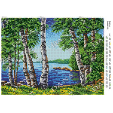 Берізки. Схема під вишивання бісером (Код:3291)