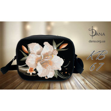 Сумка DANA ОКС (Код:КВ67)