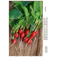Редиска. Схема для вишивки бісером з нанесеним малюнком (Код:2503)
